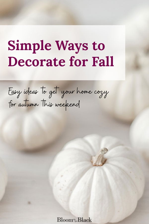 Ten ways to create a cosy home this autumn