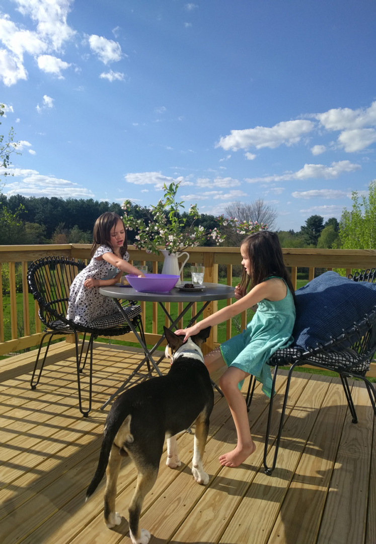 Two girls and their bull terrier sitting at a table on a small deck with blue sky with fluffy white clouds above them.